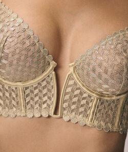 SILVER PARK BUSTIER;${refinementColor}