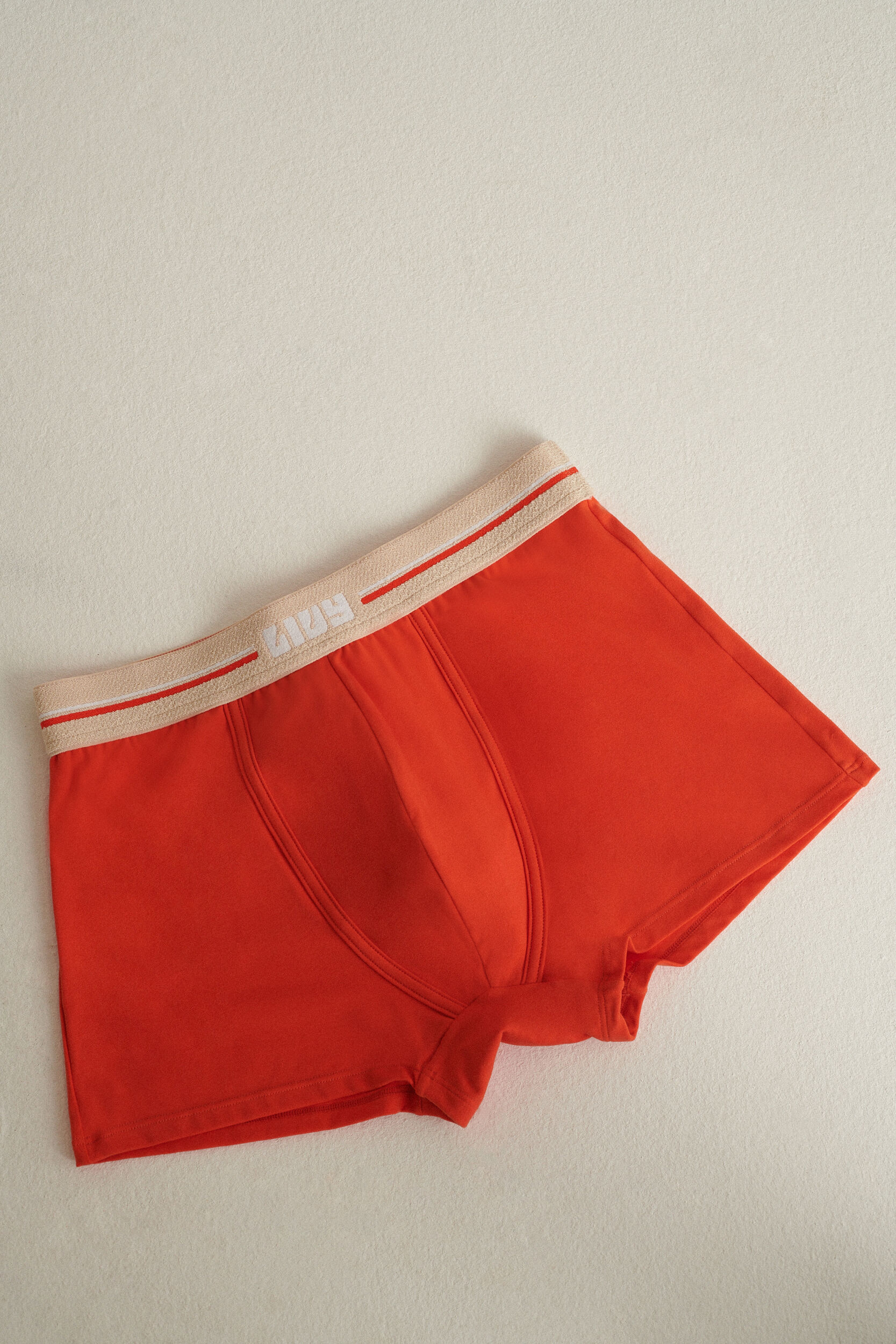 LEO BOXER EARTH PLEASURE LIVY